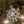 Funny Christmas Ornament | Perfect ornament for annual summary